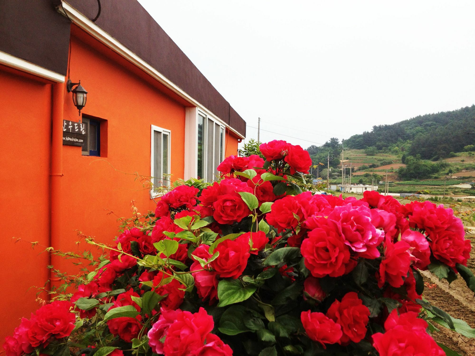 Hanudream Pension Yeosu Buitenkant foto